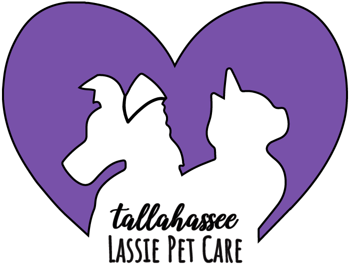 Tallahassee Lassie Pet Care